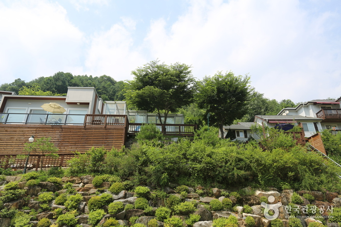 엘솔펜션