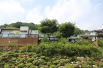 엘솔펜션 사진 2