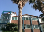 제주 지삿개풍경 사진 2