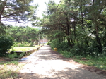 명성리조텔 사진 2