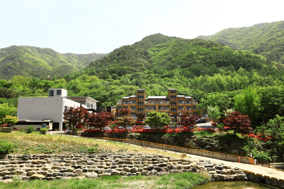 장령산자연휴양림 사진 1