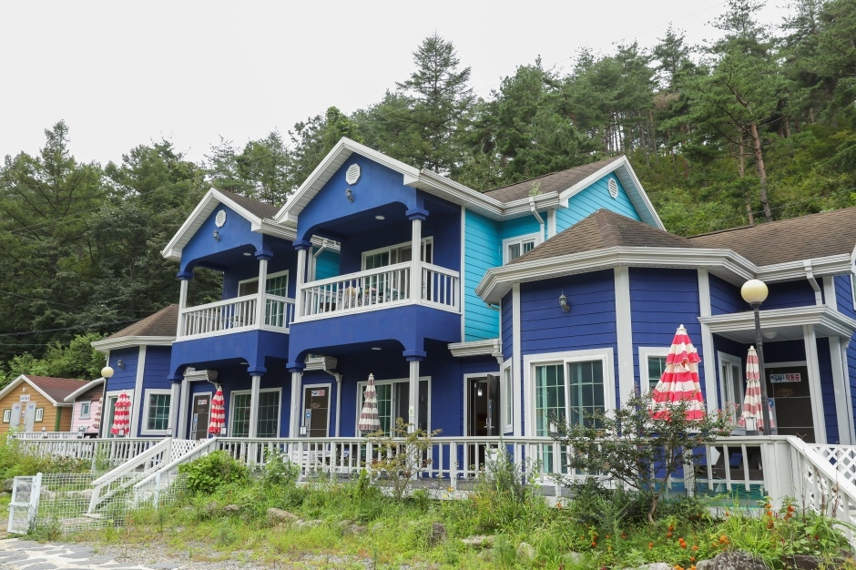 발렌타인애견펜션 사진 1