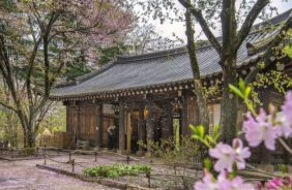 호텔정관루별관(콘도별장) 사진 1