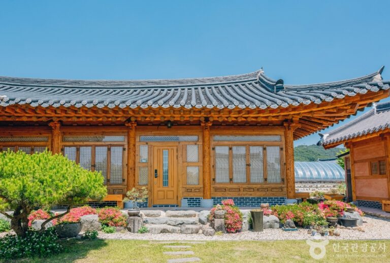 별바라기집