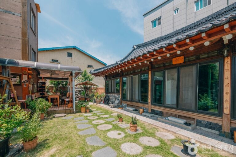 다솜채