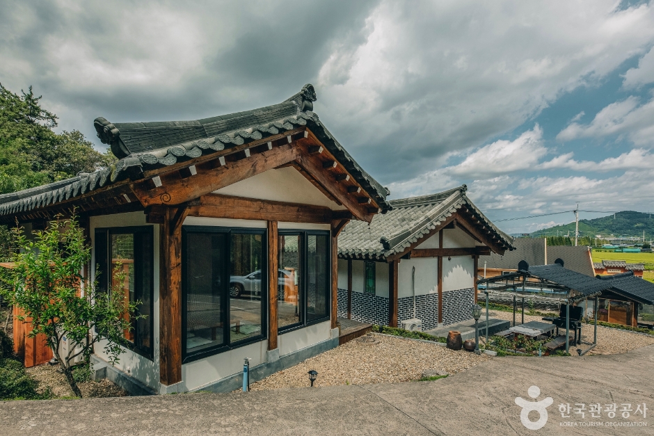 순천만숲 사진 1