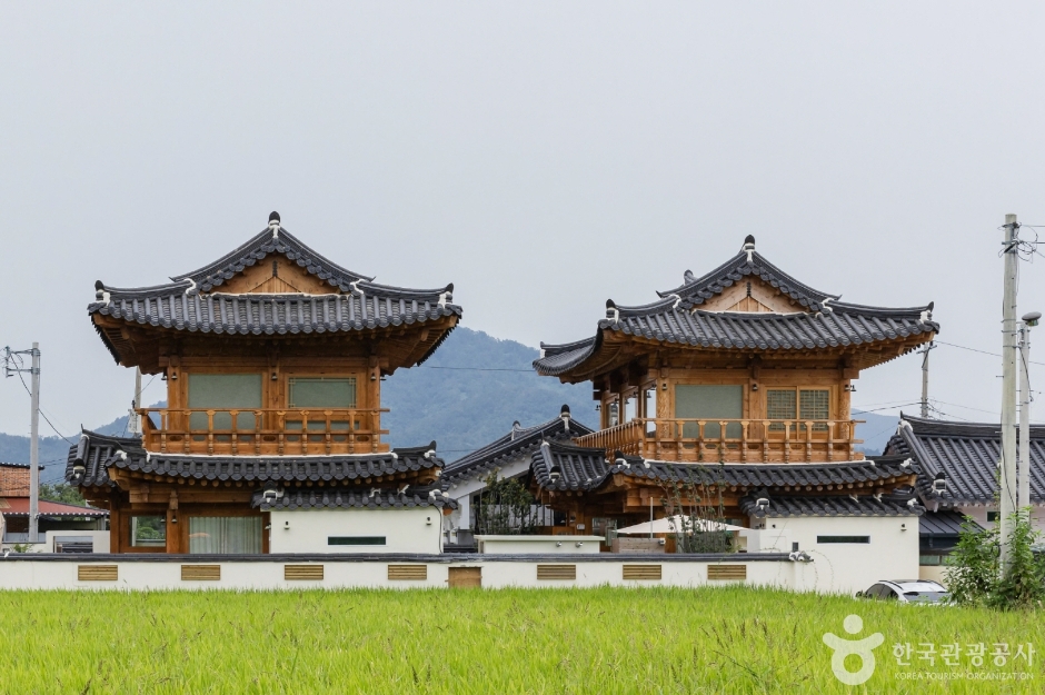 오히 사진 1