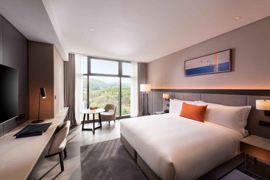 이그제큐티브 룸 (Executive Room)
