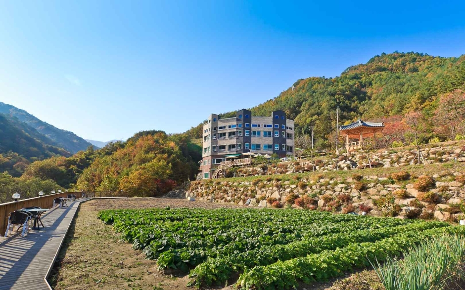 보이저펜션 사진 1