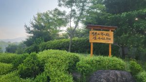 샘사이트 사진 2