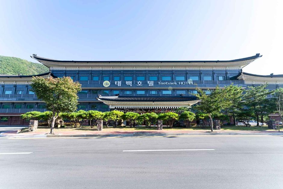 태백호텔 사진 1
