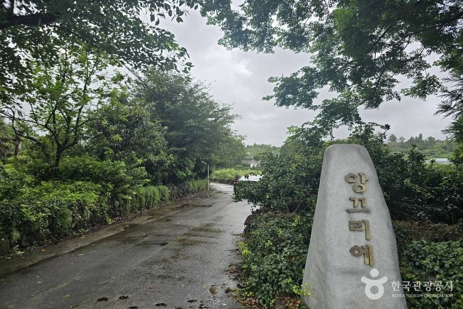 앙끄리에펜션 사진 1