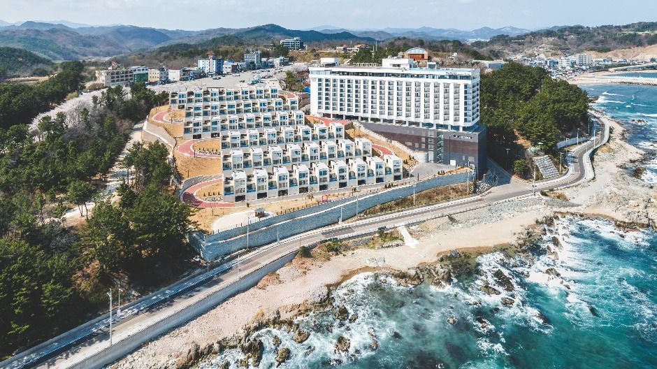 파나크 오퍼레이티드 바이 소노 사진 1