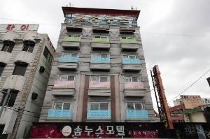 솜누스 사진 2