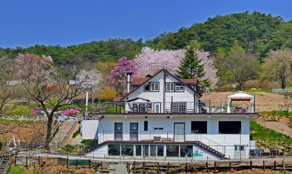 제천통나무펜션 사진 1