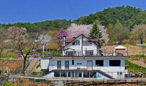 제천통나무펜션 사진 2