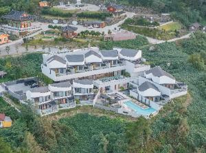 코스모스 울릉도 사진 2