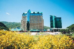 하이원 그랜드호텔 사진 2