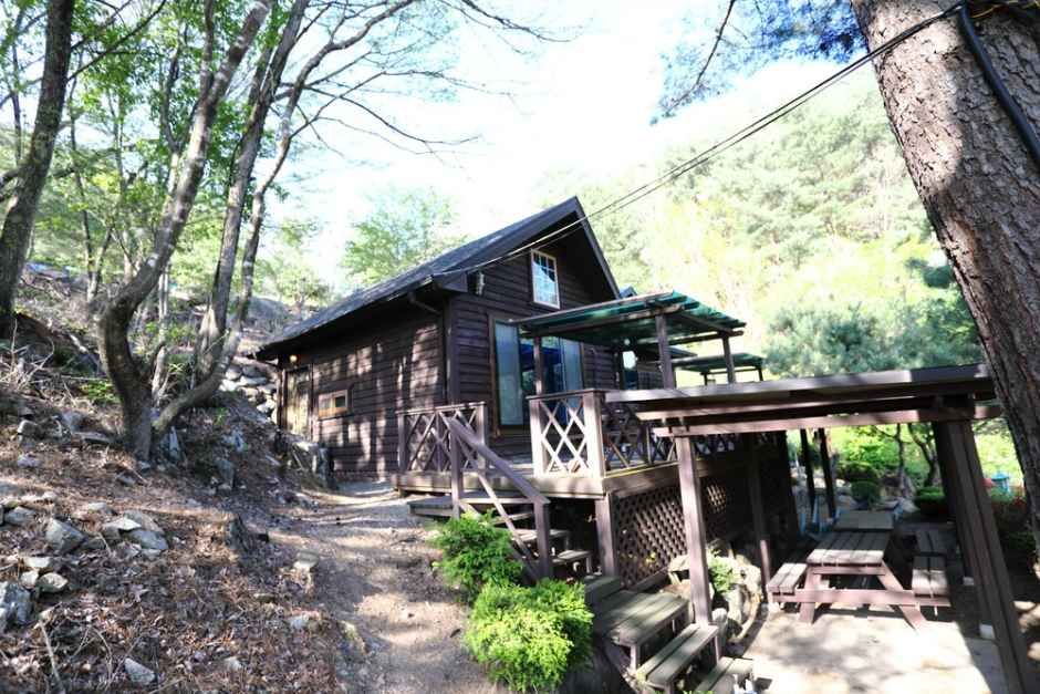 진동리의아침 사진 1