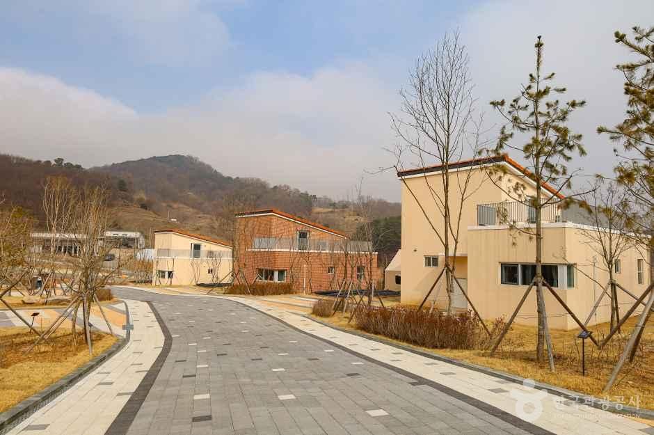 예당호 착한농촌체험세상 사진 1