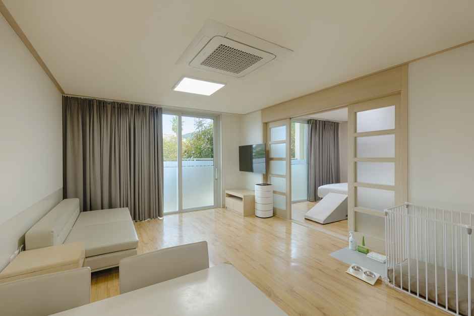 소노벨 제주 사진 7