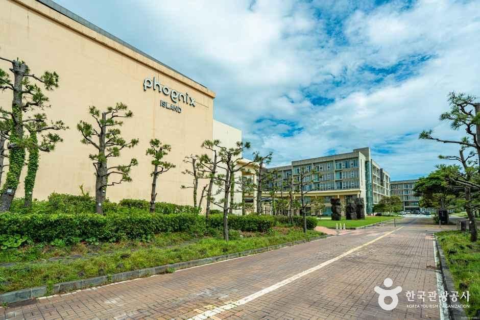 휘닉스 아일랜드 사진 1