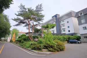 발렌타인 사진 2