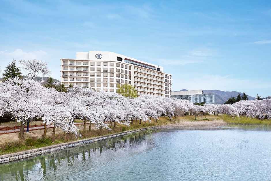 힐튼 경주 객실/시설