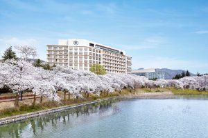힐튼 경주 사진 2