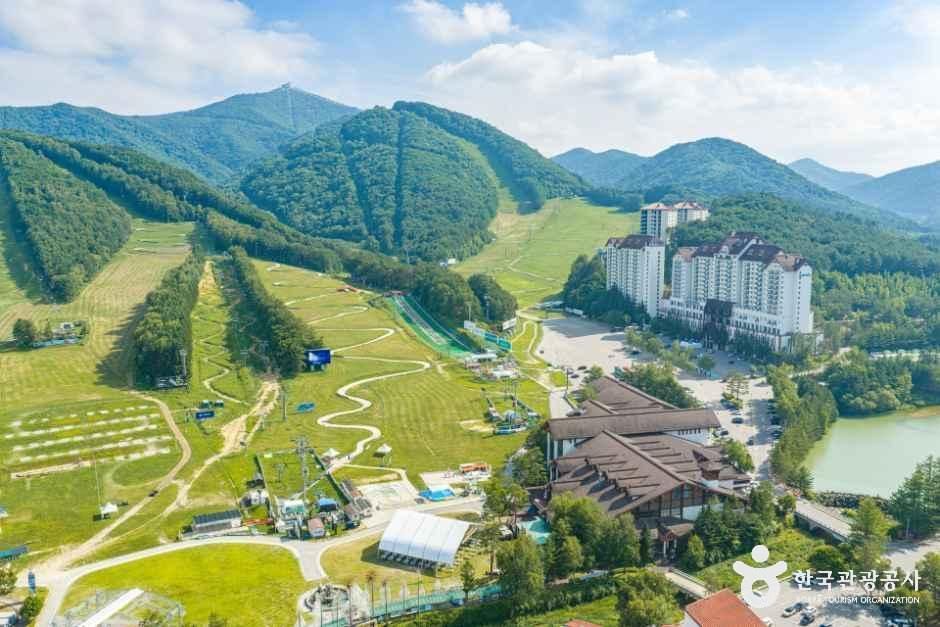 모나용평 사진 1