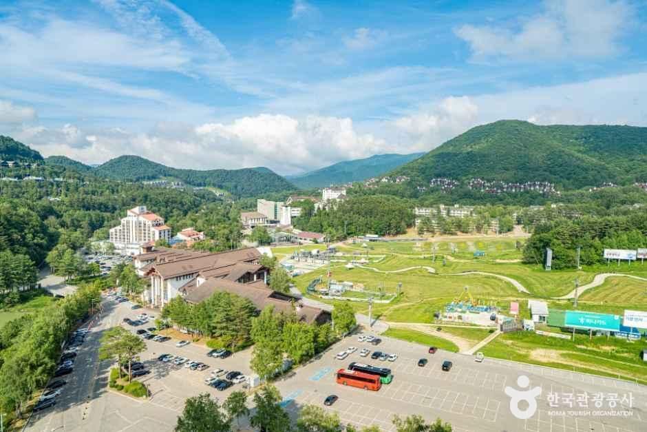 모나용평 그린피아콘도 객실/시설
